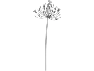 Bell Agapanthus Flower 3D Model preview