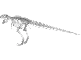 Tyrannosaurus Rex Skeleton 3D Model preview