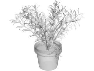 Albero 3D Model preview