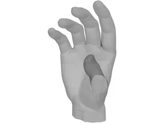 Hand 3D Model preview