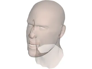 Human Head Face 3D Model preview