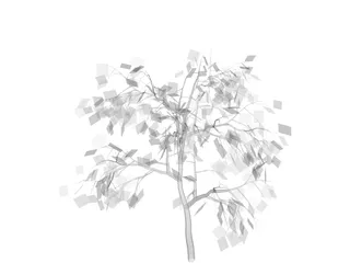 Weeping Higan Cherry 3D Model preview
