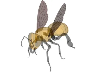Bee 3D Model preview
