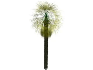 Washingtonia Palm 3D Model preview