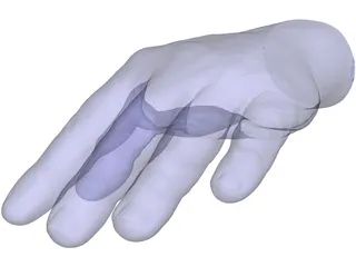 Hand Left 3D Model preview