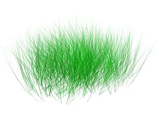 Grass 3D Model preview