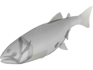 Happy Fish 3D Model preview