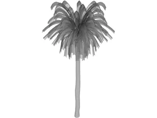 Palm Tree 3D Model preview