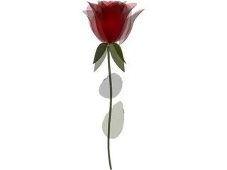 Rose 3D Model preview