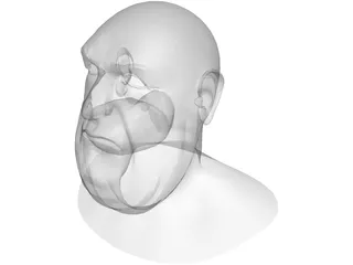 Opera Man Face 3D Model preview
