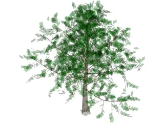 Baum Tree 3D Model preview