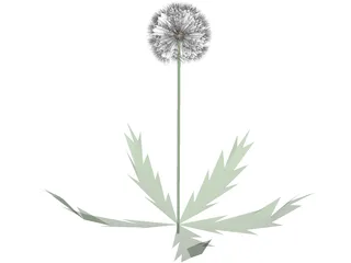 Dandelion 3D Model preview