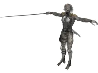 Raiden 3D Model preview
