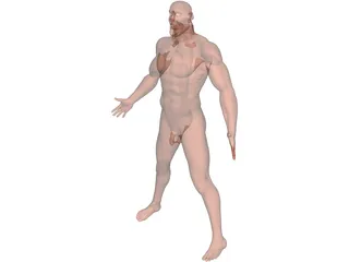 Man 3D Model preview