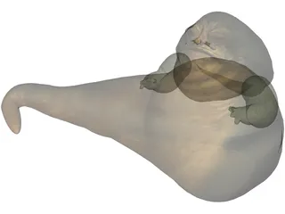 Star Wars Jabba the Hutt 3D Model preview