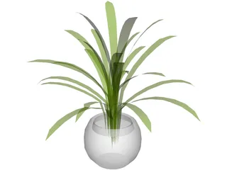 Plant in Pot 3D Model preview