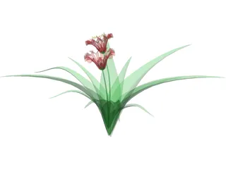 Flowers 3D Model preview