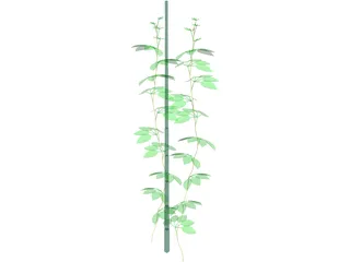 Plant 3D Model preview