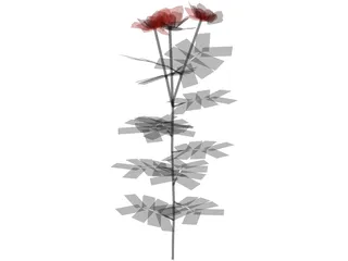 Roses Red 3D Model preview