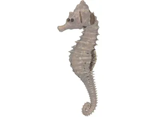 Seahorse 3D Model preview