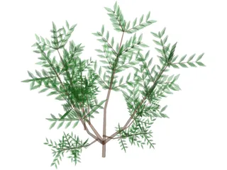 Azalea Bush 3D Model preview