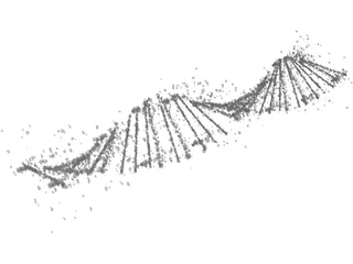 DNA Human 3D Model preview
