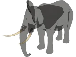 Elephant 3D Model preview
