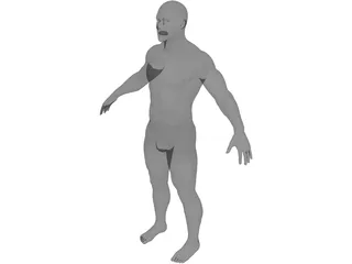 Male 3D Model preview