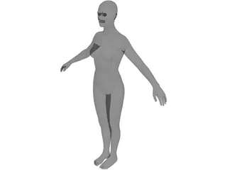 Female 3D Model preview