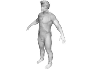 Male 3D Model preview