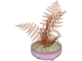 House Plant 3D Model preview