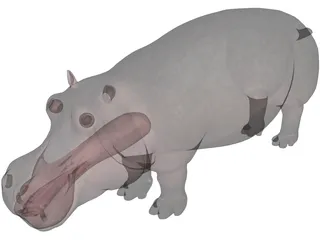 Hippopotamus 3D Model preview
