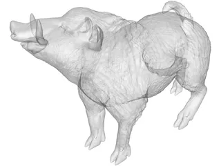 Wild Boar 3D Model preview