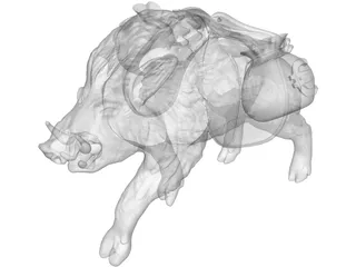 Boar 3D Model preview