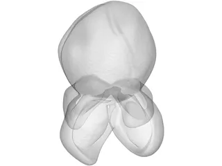 Popcorn 3D Model preview
