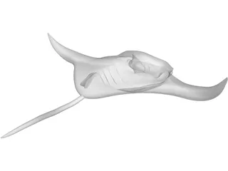 Manta Ray 3D Model preview