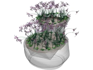 Flower Bed with Flowers 3D Model preview