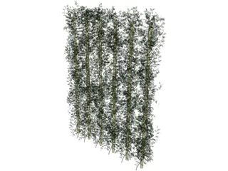 Plant Ivy 3D Model preview