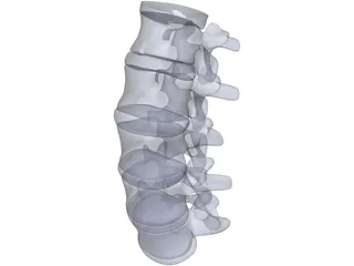 Lumbar Spine 3D Model preview