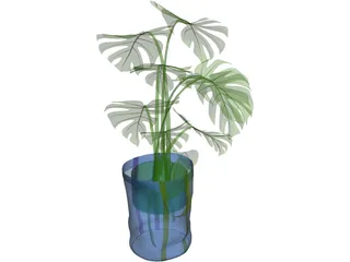 Monstera Deliciosa 3D Model preview