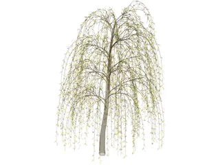 Tree 3D Model preview