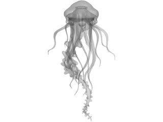 Jelly Fish 3D Model preview