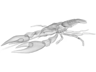 Lobster 3D Model preview