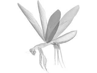 Flying Mantis 3D Model preview