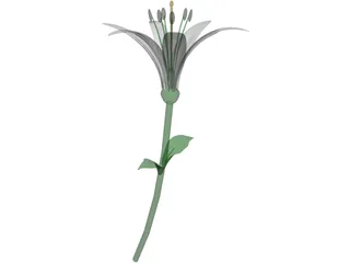 Lily 3D Model preview