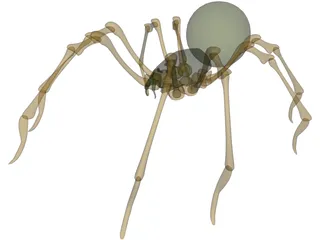 Spider 3D Model preview