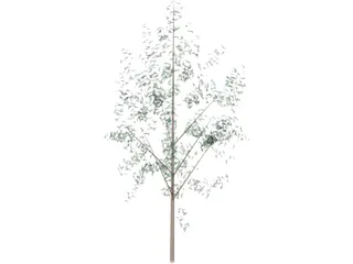 Tree 3D Model preview