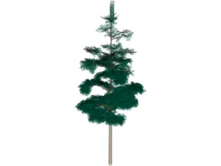 Redwood Tree 3D Model preview
