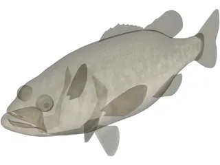 Florida Largemouth Bass 3D Model preview