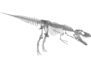 Gorgosaurus Skeleton 3D Model preview